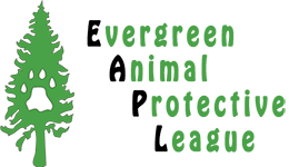 Evergreen Animal Protective League