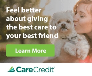 carecredit